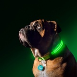 LED Dog Collar