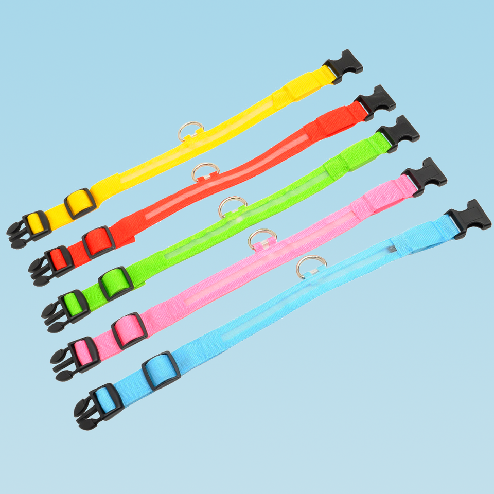 LED Dog Collar