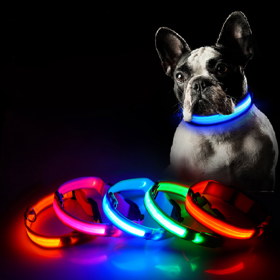 LED Dog Collar