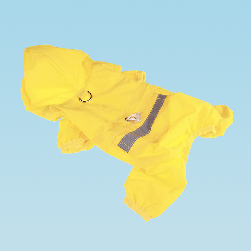 Puppy Raincoat