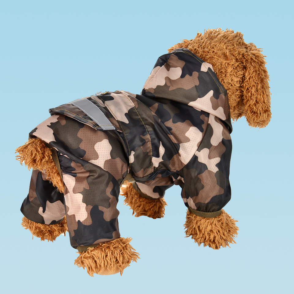 Puppy Raincoat