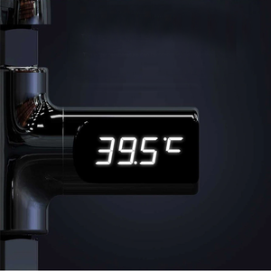 LED Display Shower Thermometer