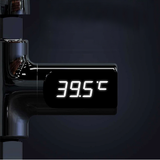 LED Display Shower Thermometer